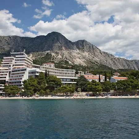 Minerva Podgora
